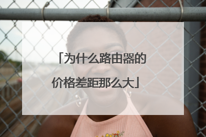 为什么路由器的价格差距那么大
