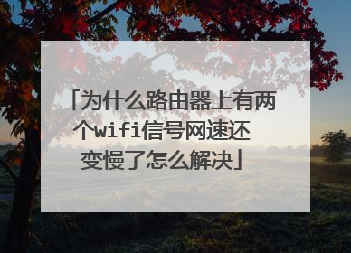 为什么路由器上有两个wifi信号网速还变慢了怎么解决
