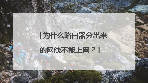 为什么路由器分出来的网线不能上网？