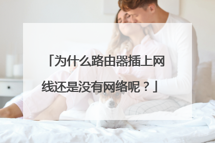 为什么路由器插上网线还是没有网络呢？