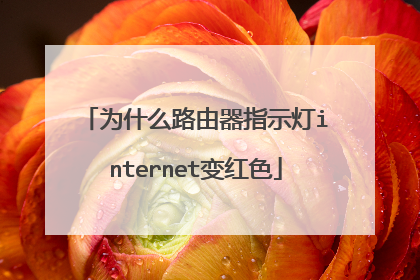 为什么路由器指示灯internet变红色