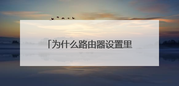 为什么路由器设置里面没有无线网络设置
