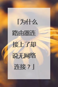 为什么路由器连接上了却说无网络连接?
