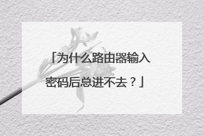 为什么路由器输入密码后总进不去?
