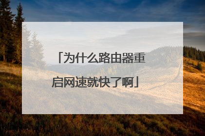 为什么路由器重启网速就快了啊
