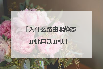 为什么路由器静态IP比自动IP快