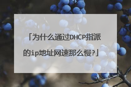 为什么通过DHCP指派的ip地址网速那么慢?