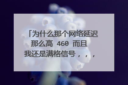 为什么那个网络延迟那么高 460 而且我还是满格信号,,,这是为什么啊?