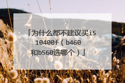 为什么都不建议买i510400f（b460和b560选哪个）