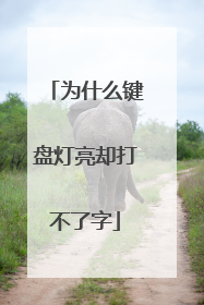 为什么键盘灯亮却打不了字