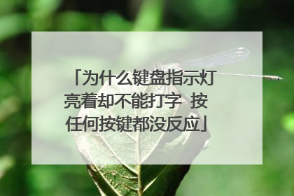 为什么键盘指示灯亮着却不能打字 按任何按键都没反应