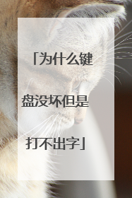 为什么键盘没坏但是打不出字