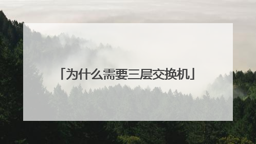 为什么需要三层交换机