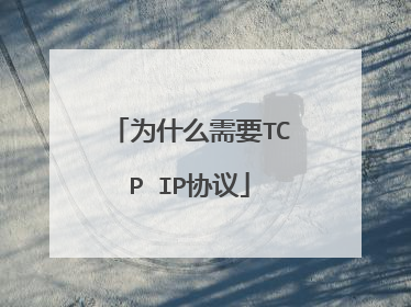 为什么需要TCP IP协议