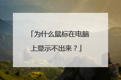 为什么鼠标在电脑上显示不出来？