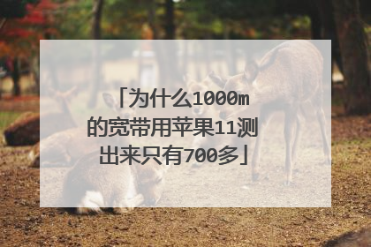 为什么1000m的宽带用苹果11测出来只有700多