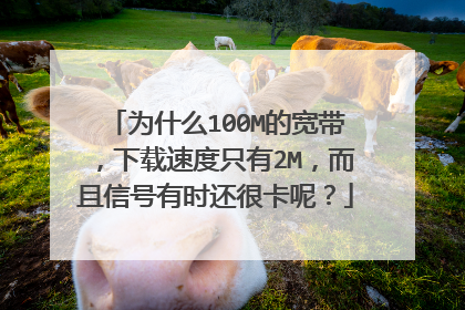 为什么100M的宽带，下载速度只有2M，而且信号有时还很卡呢？