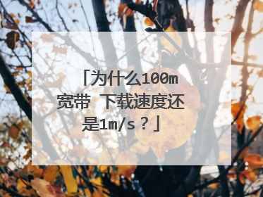 为什么100m宽带 下载速度还是1m/s？