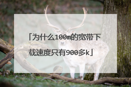 为什么100m的宽带下载速度只有900多k