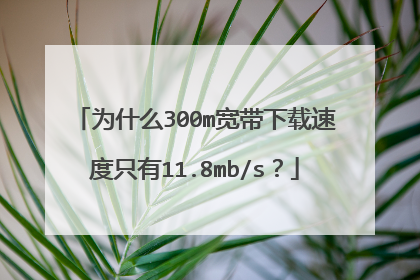 为什么300m宽带下载速度只有11.8mb/s?