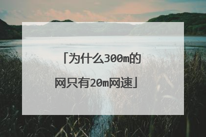 为什么300m的网只有20m网速