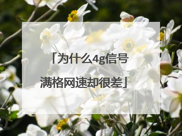 为什么4g信号满格网速却很差