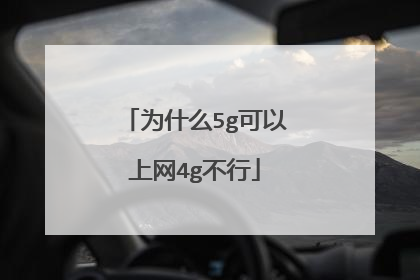 为什么5g可以上网4g不行