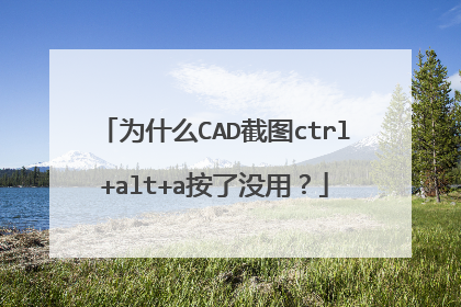 为什么CAD截图ctrl+alt+a按了没用？