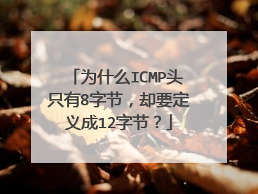为什么ICMP头只有8字节,却要定义成12字节?
