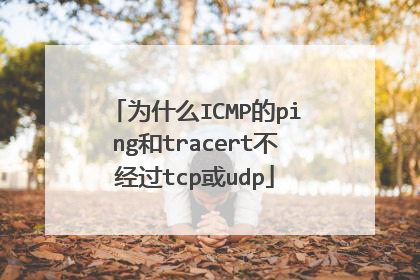为什么ICMP的ping和tracert不经过tcp或udp