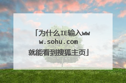 为什么IE输入www.sohu.com就能看到搜狐主页