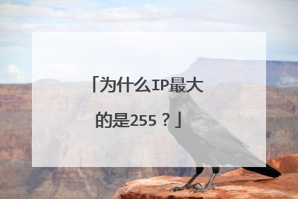 为什么IP最大的是255?