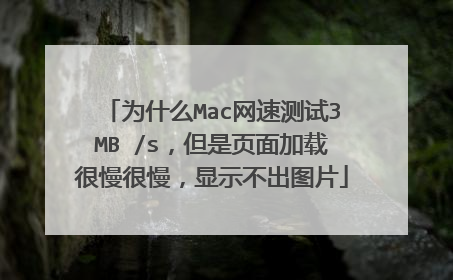 为什么Mac网速测试3MB /s,但是页面加载很慢很慢,显示不出图片