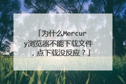 为什么Mercury浏览器不能下载文件,点下载没反应?