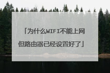 为什么WIFI不能上网但路由器已经设置好了