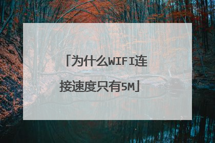 为什么WIFI连接速度只有5M