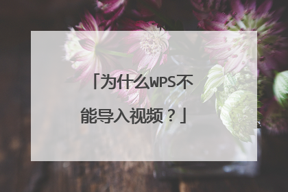 为什么WPS不能导入视频？