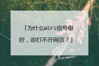 为什么WiFi信号很好，却打不开网页？