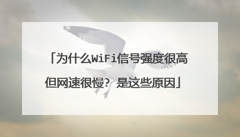 为什么WiFi信号强度很高但网速很慢? 是这些原因
