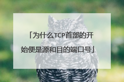 为什么TCP首部的开始便是源和目的端口号