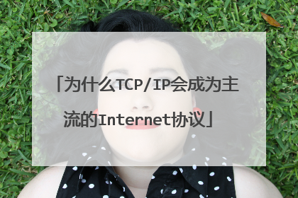 为什么TCP/IP会成为主流的Internet协议