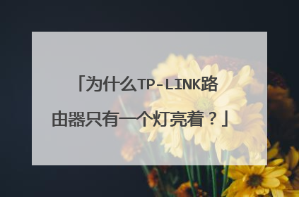 为什么TP-LINK路由器只有一个灯亮着？