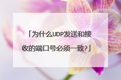 为什么UDP发送和接收的端口号必须一致?