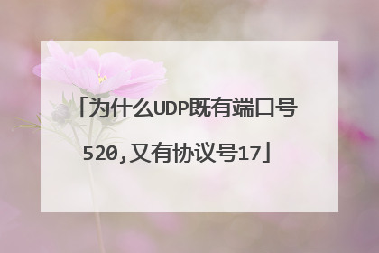 为什么UDP既有端口号520,又有协议号17