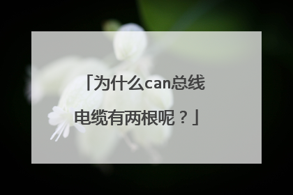 为什么can总线电缆有两根呢？