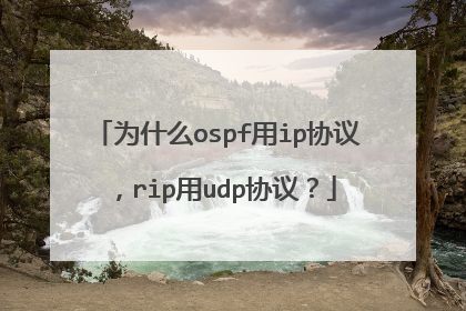 为什么ospf用ip协议,rip用udp协议?