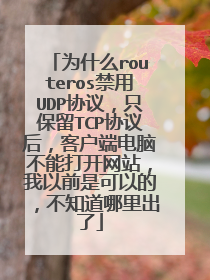 为什么routeros禁用UDP协议,只保留TCP协议后,客户端电脑不能打开网站,我以前是可以的,不知道哪里出了