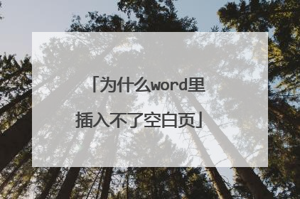 为什么word里插入不了空白页