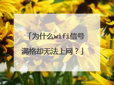 为什么wifi信号满格却无法上网？