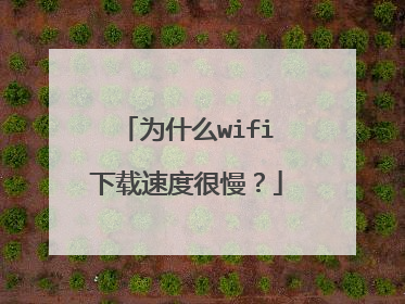 为什么wifi下载速度很慢?
